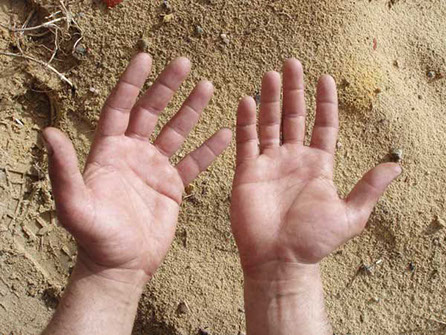 Clean Hands